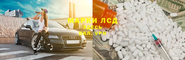 мяу мяу мука Алексеевка