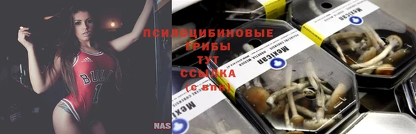спиды Алзамай