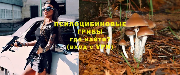 винт Алексин