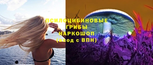спиды Алзамай