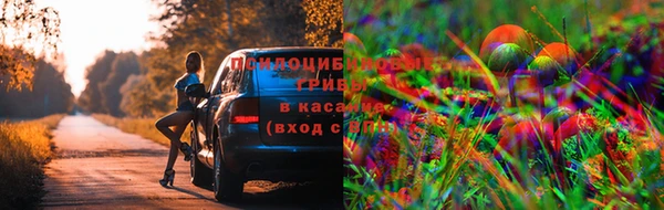 винт Алексин